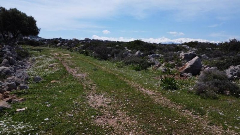 Kokkino Chorio Kreta, Kokkino Chorio: Malerisches Gelände mit Panoramablick aufs Meer zu verkaufen Grundstück kaufen